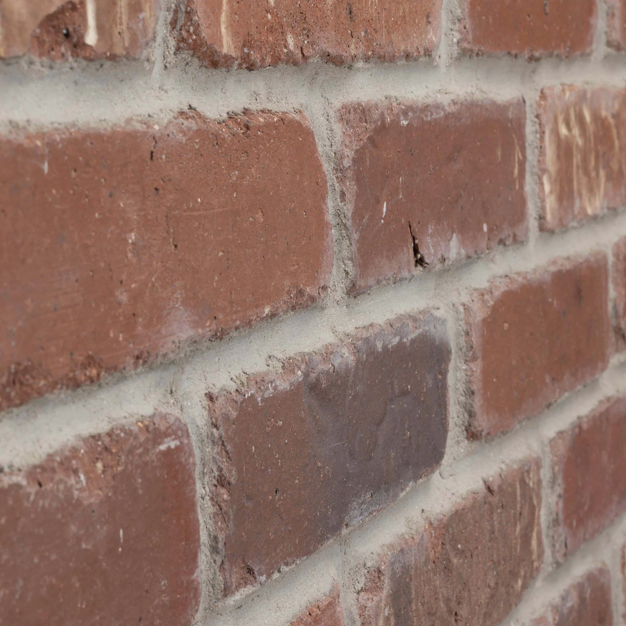 Boston Mill Thin Brick Sample Box – 12 Real Clay Bricks - Image 5