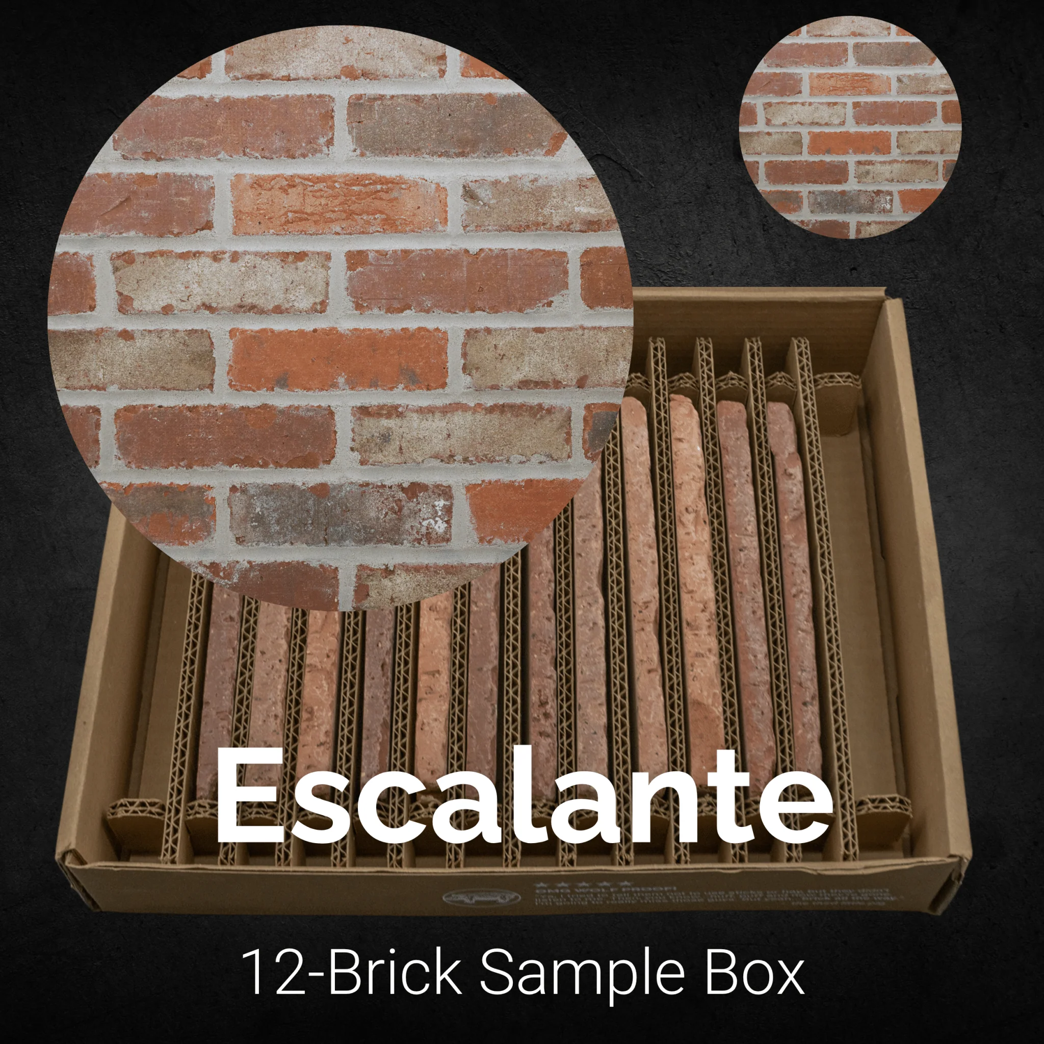 Escalante - Image 5