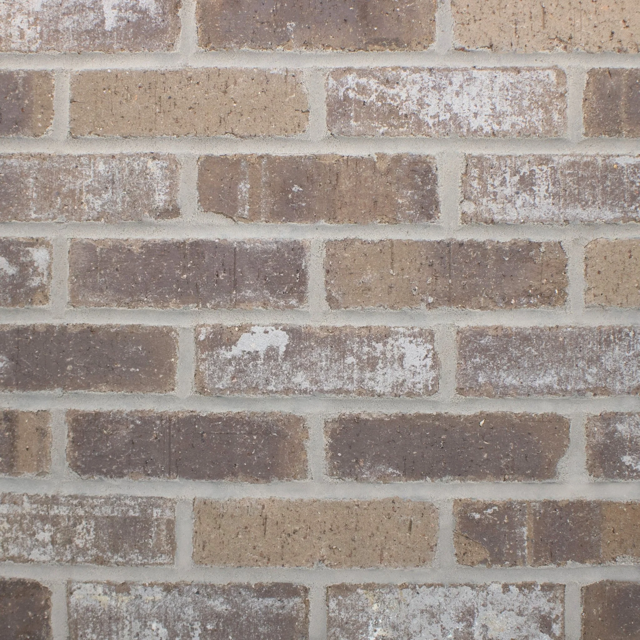 Mojave Thin Brick Sample Box – 12 Real Clay Bricks - Image 4