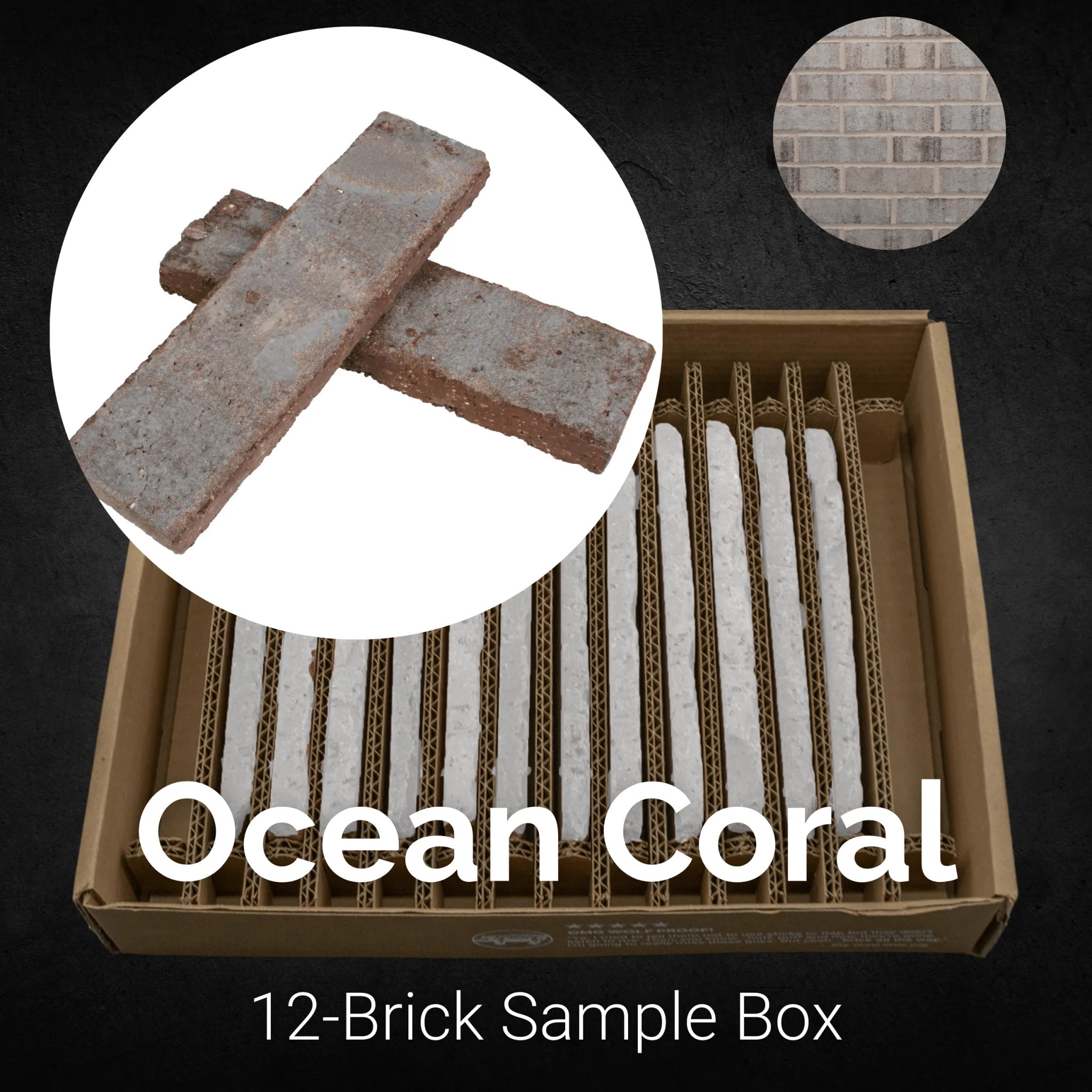 Ocean Coral - Image 8