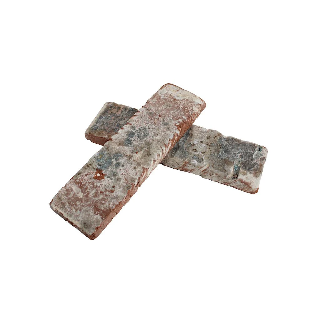 Seaside - Image 10