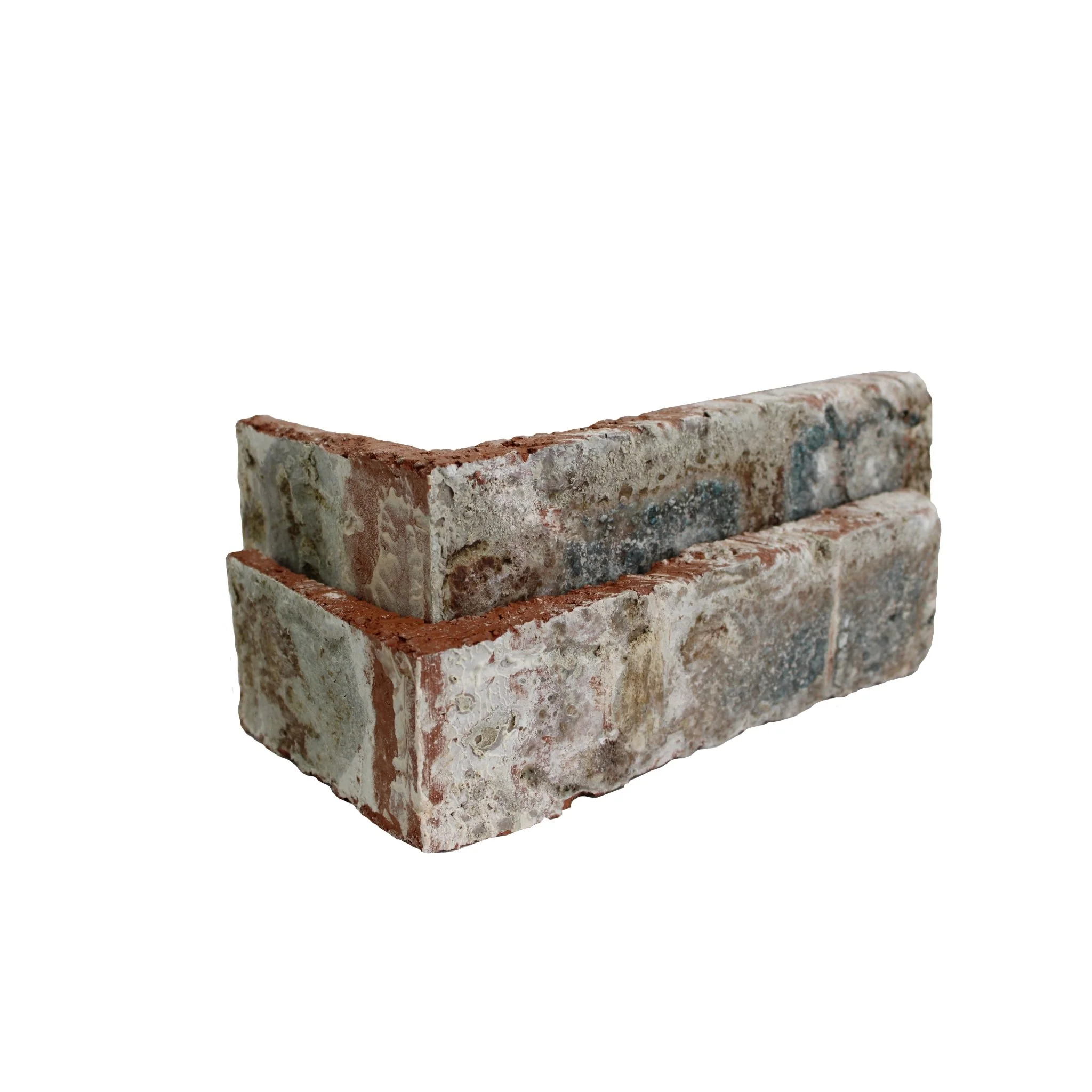 Seaside - Image 7
